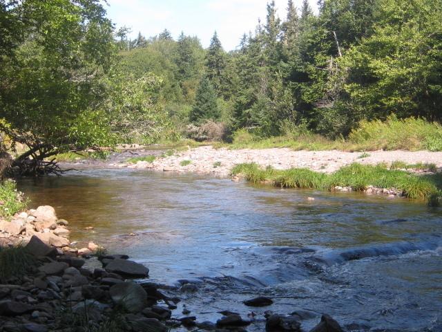 Moore'S Specialties Fundy Bay House Rental Gardner Creek エクステリア 写真