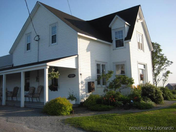Moore'S Specialties Fundy Bay House Rental Gardner Creek エクステリア 写真