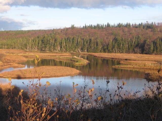 Moore'S Specialties Fundy Bay House Rental Gardner Creek エクステリア 写真