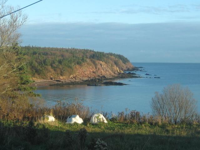 Moore'S Specialties Fundy Bay House Rental Gardner Creek エクステリア 写真